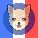$HOKK | Hokkaido Inu French 🇨🇦🇫🇷🇧🇪🇨🇭