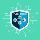 Flexi Chain | From HAMINU Dev 300K mcap