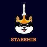 Starshiba Inu - STARSHIB