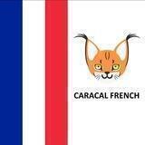 Caracal_fr