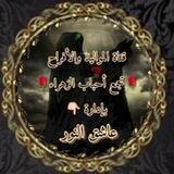 قناة المواليد وأفراح أهل البيت 🌹تجمع أحباب الزهراء🌹
