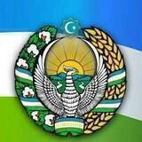 TERDU YOSHLAR BILAN ISHLASH, MA'NAVIYAT VA MA'RIFAT BO'LIMI