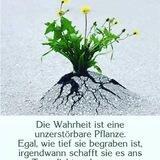 Die Wahrheit kommt ans Licht !