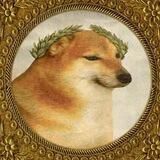 145 memeBEARS = THIS GROUP