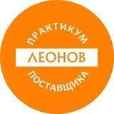 Практикум Поставщика (Leonov Consulting), Дмитрий Леонов