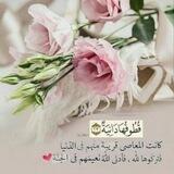 🌸 قـُطُـوفُـهَا دَانِــيـةَُُ 🌸