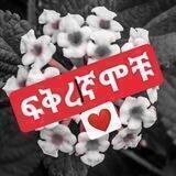ፍቅረኛሞቹ❤️