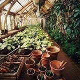 Herbology Group