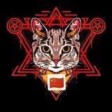 HELL CAT OFFICIAL CN!!!! 😈 🇨🇳