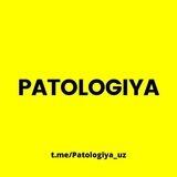 Patologiya.uz