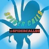 ‼️SPIDER_CALLS📣‼️