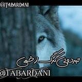 🏴‍☠️ تبردونی گرگ زخمی 🏴‍☠️