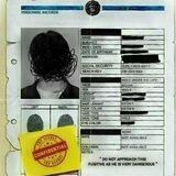 Bedrieger Files