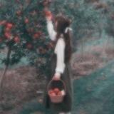 𝒊𝒚𝒂𝒏➻🤍⃤‌‌