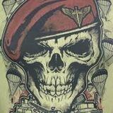 Airborne Diary|95 ОДШБр