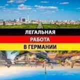 Работа в Германии
