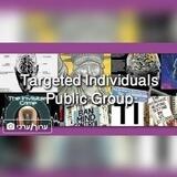 Targeted Individuals Global Public Group RESEARCH