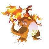Charidoge