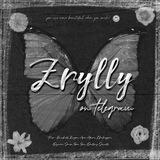 ㅤ ⾕ ࣪˖ Zrylly め ᵎ¡