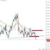 Newbie Forex Sonic R