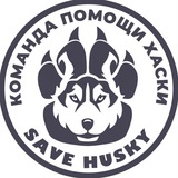 SAVE_HUSKY