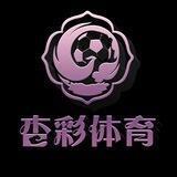 杏彩体育-官方代理合营