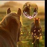 نــظـرةُ وداعٍ 🍁