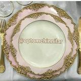 Optomchinnilar
