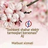 "Toshkent shahar elektr tarmoqlari korxonasi"AJ
