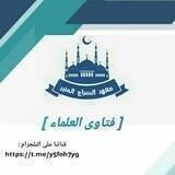 فتاوى العلماء 🌴