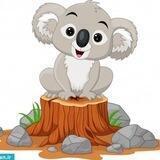 Koala. _shop 🐨