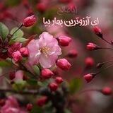 از حضــــورتاظهــــور(یا مهدی عجل علی ظهورک)