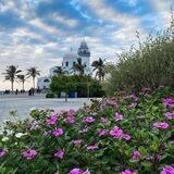 ارتواء