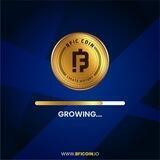 BFICoin Official ®️