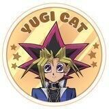 Yugi Cat - Official