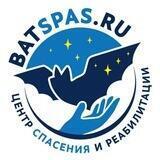🦇 batspas 🦇