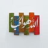 نور الهداية ❤🌼