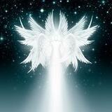 Project Seraphim