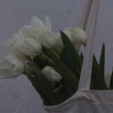 مُـدوِّنـة ۦ