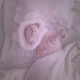 ⋆⁺₊⋆ ᴧᴏᴦᴏʙᴏ ᴋᴏᴛяᴛ 🐈