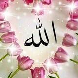 حسن الدوسري