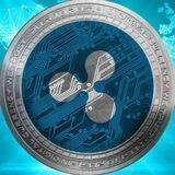 Crypto & Trading - FuturMoney.com