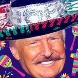 ilDonaldoTrumpo