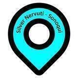 Silver Nervuti - Canale Ufficiale
