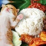 🌷KOLEKSI RESEPI MASAKAN🌷