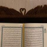 نقآة