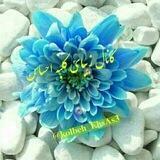 کلبه احساس