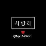 𝙼𝚢 𝚕𝚒𝚏𝚎 𝙺𝚘𝚛𝚎𝚊🇰🇷🕊️