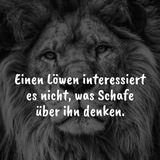 DitiNea Öffentlich🇩🇪🦅