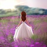 فراشه اغسطس ـ𝑗𝑖𝑛𝑎𝑛 ـ